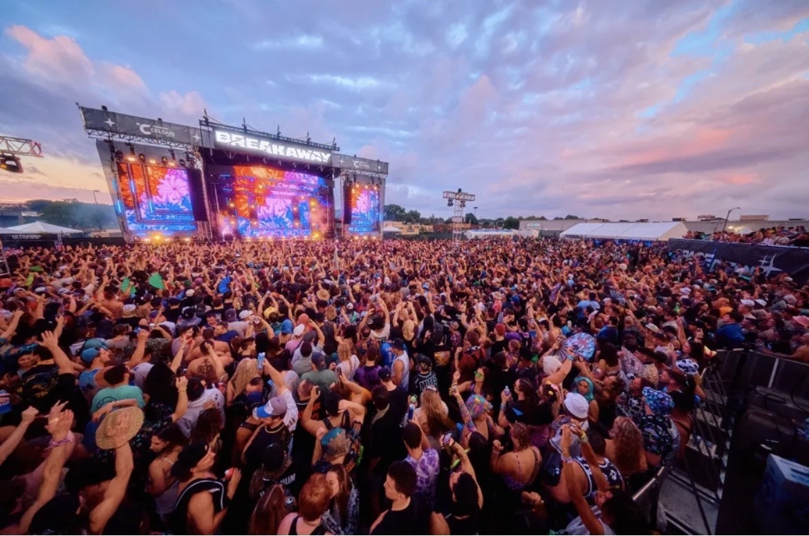 large crowd at a music festival